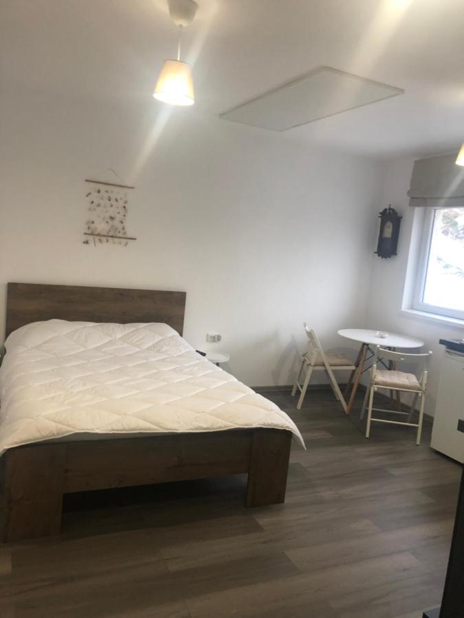 Garsoniera La Munte Apartment Azuga Luaran gambar